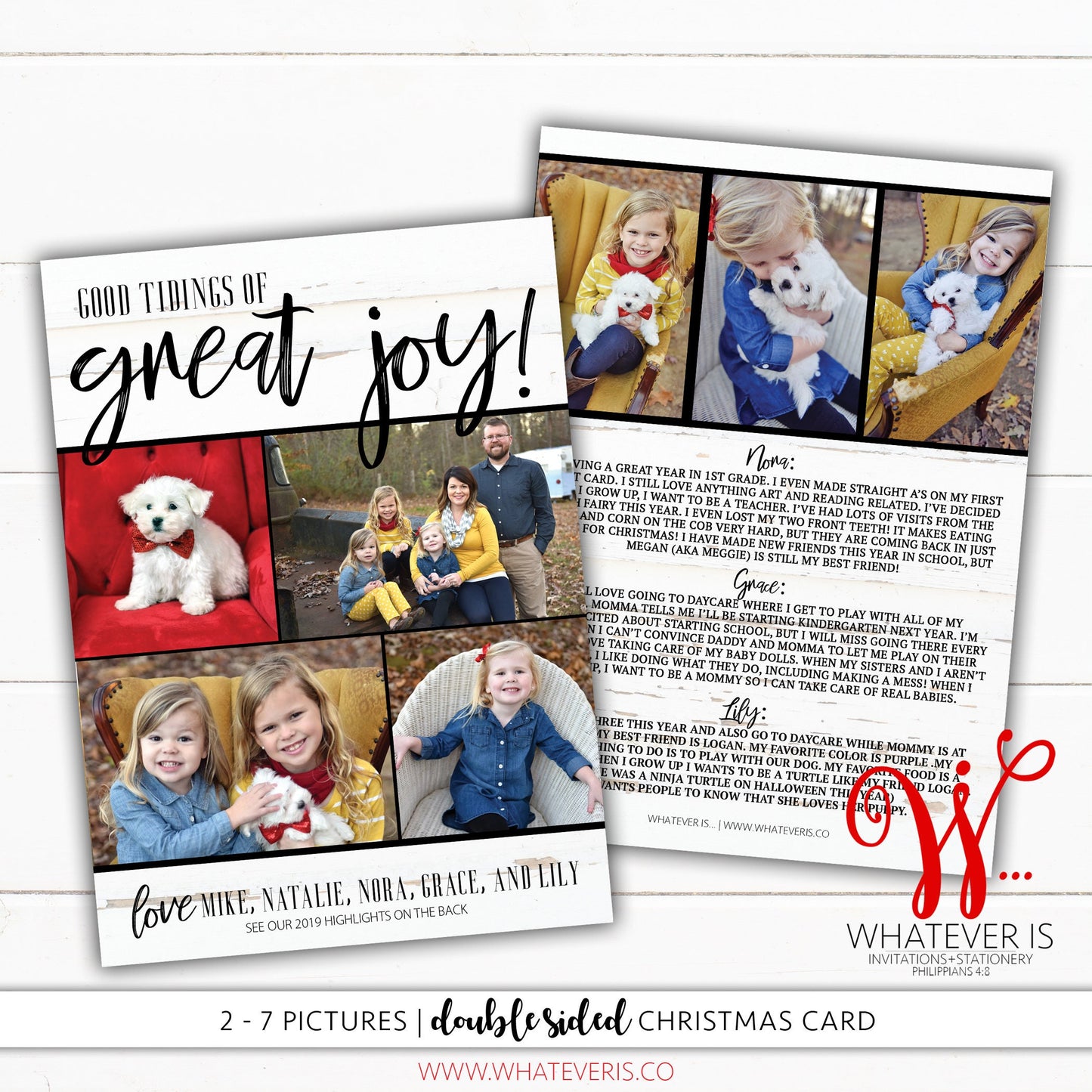 Good Tidings of Great Joy Year in Review Christmas Card