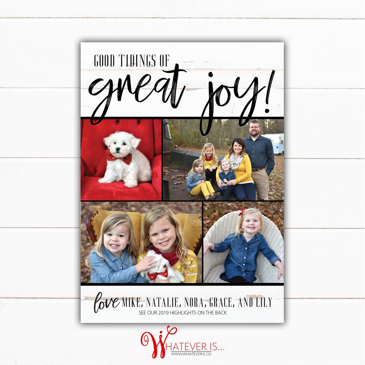 Good Tidings of Great Joy Year in Review Christmas Card