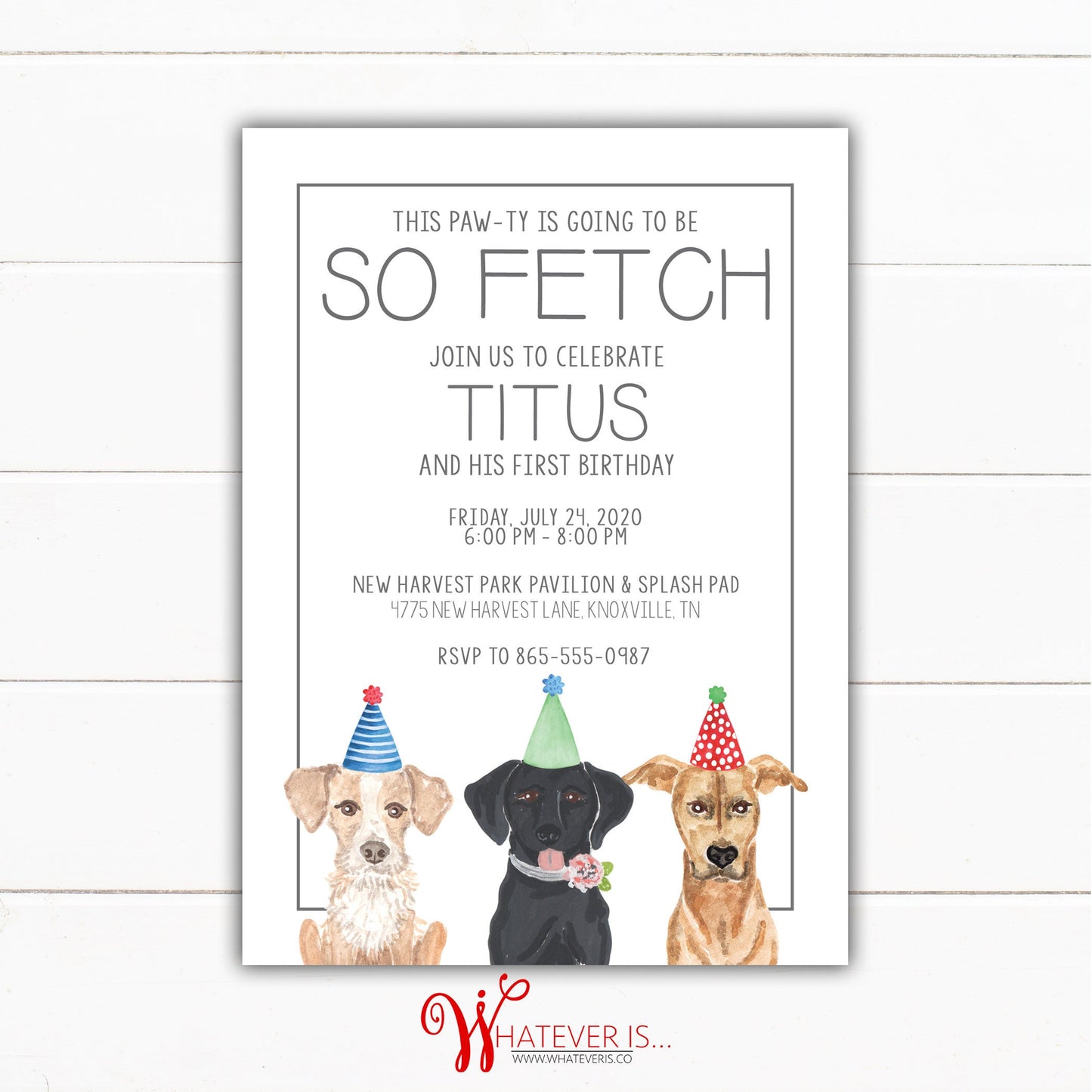 So Fetch Dog Birthday Invitation | Pawty Birthday Invitation | Dog Birthday Party Invite | Dog Birthday Invitation Boy | Dog Birthday Invite