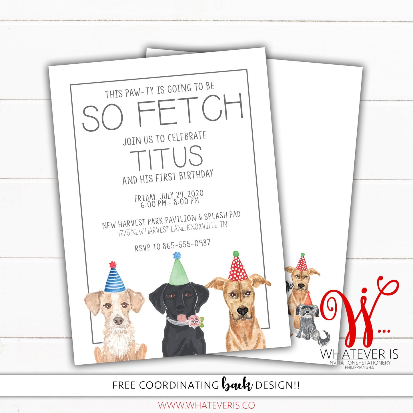 So Fetch Dog Birthday Invitation | Pawty Birthday Invitation | Dog Birthday Party Invite | Dog Birthday Invitation Boy | Dog Birthday Invite