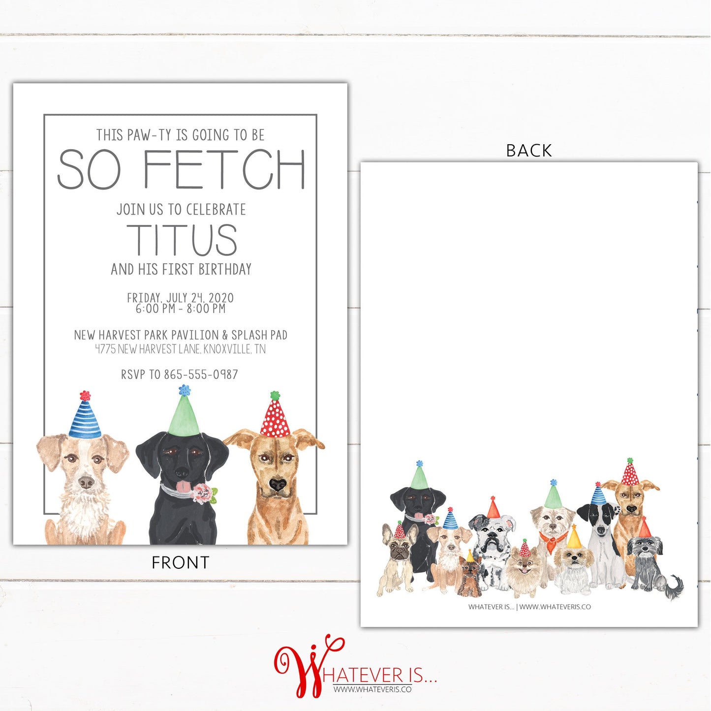 So Fetch Dog Birthday Invitation | Pawty Birthday Invitation | Dog Birthday Party Invite | Dog Birthday Invitation Boy | Dog Birthday Invite