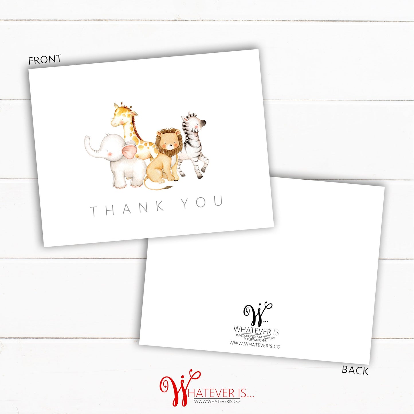 Safari Animal Thank You Card Set