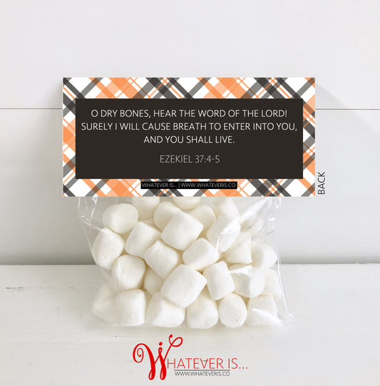 Halloween Treat Bag • Boy Dry Bones Christian